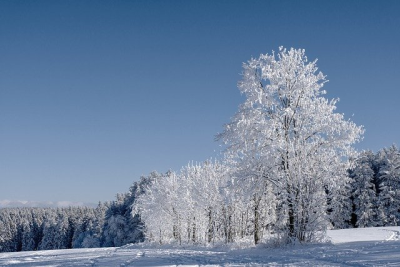 winterlandschaft